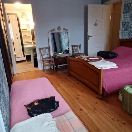 Chez Virginie - Chambre Du Bourg Лурд Екстериор снимка